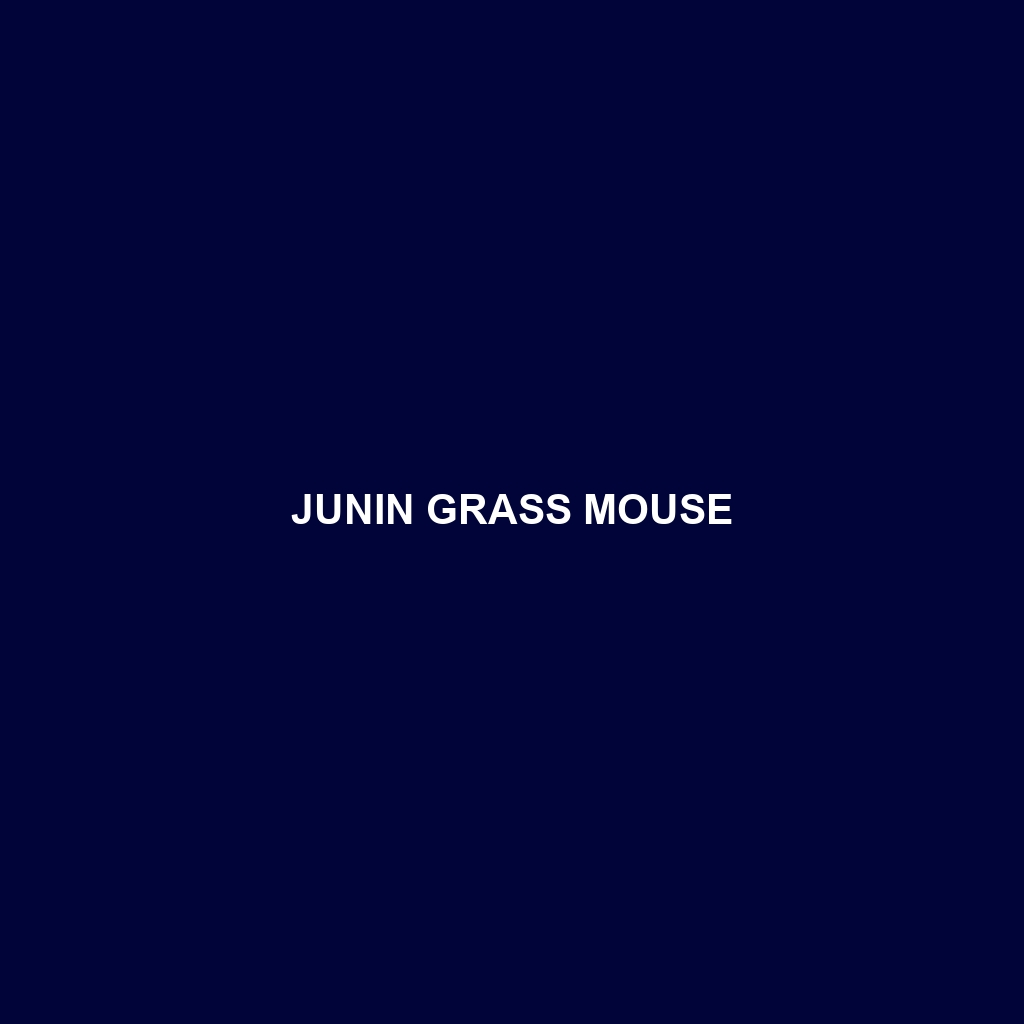 Junin Grass Mouse