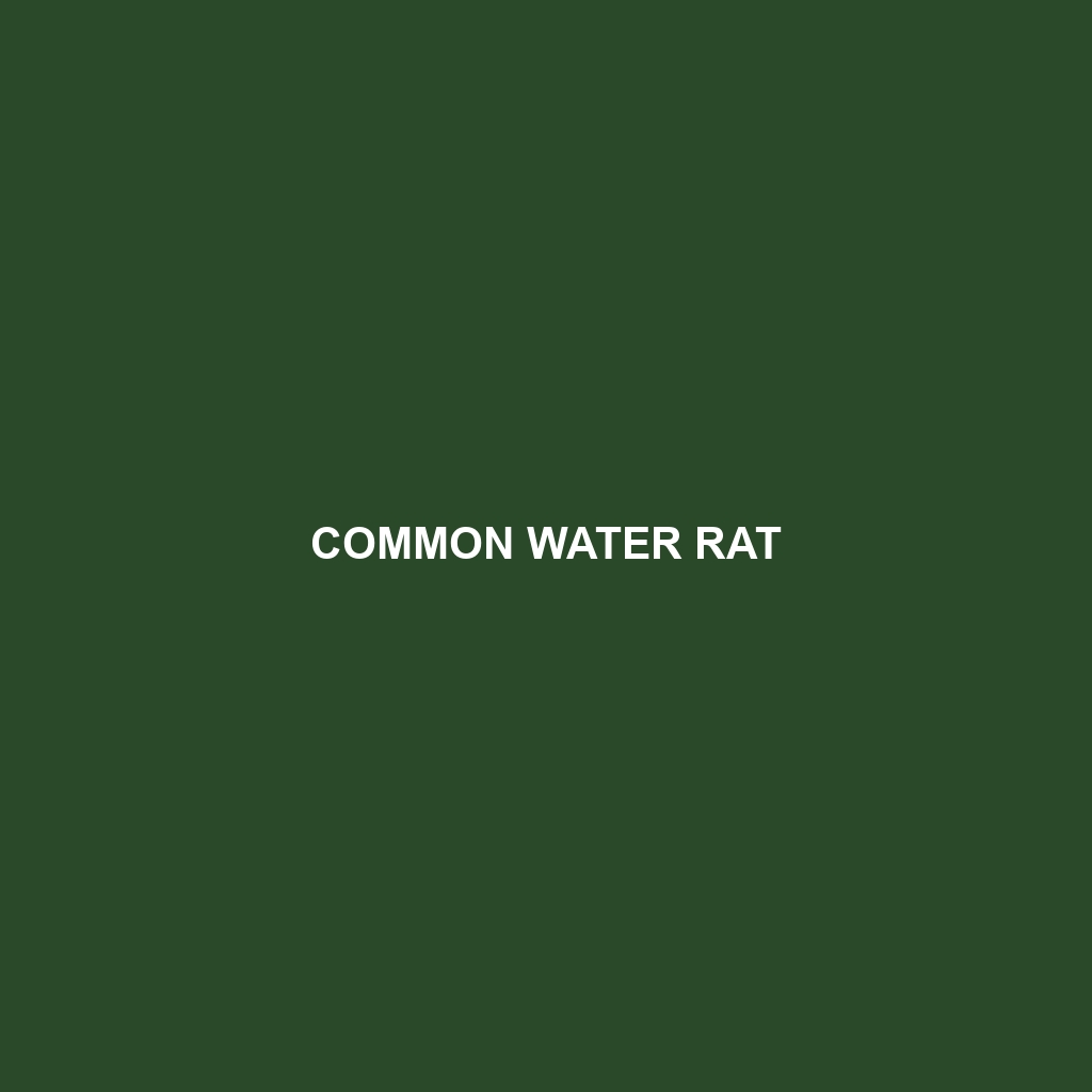 Common Water Rat