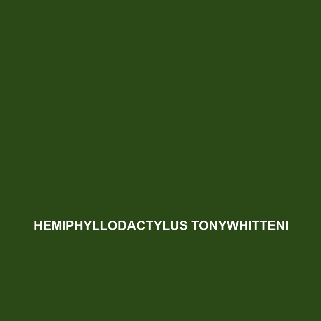 Hemiphyllodactylus tonywhitteni