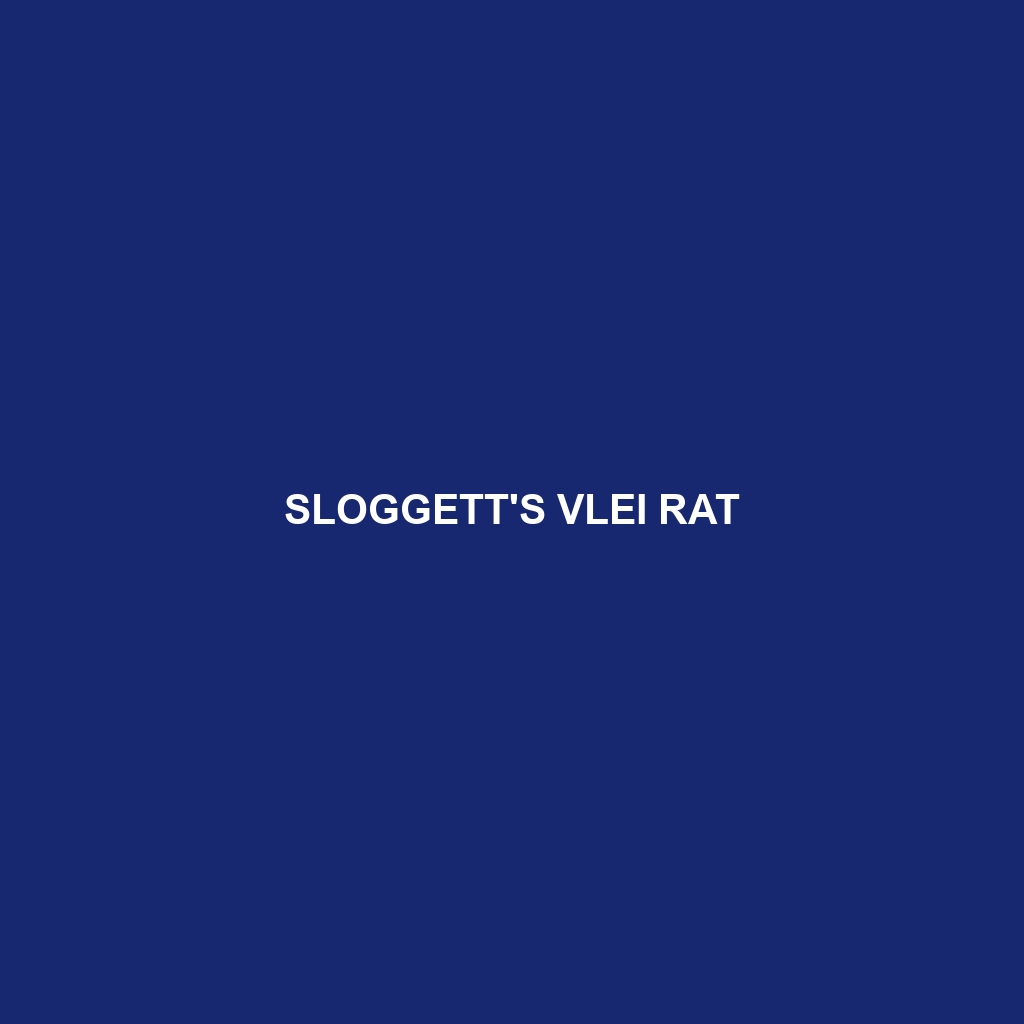 Sloggett's Vlei Rat