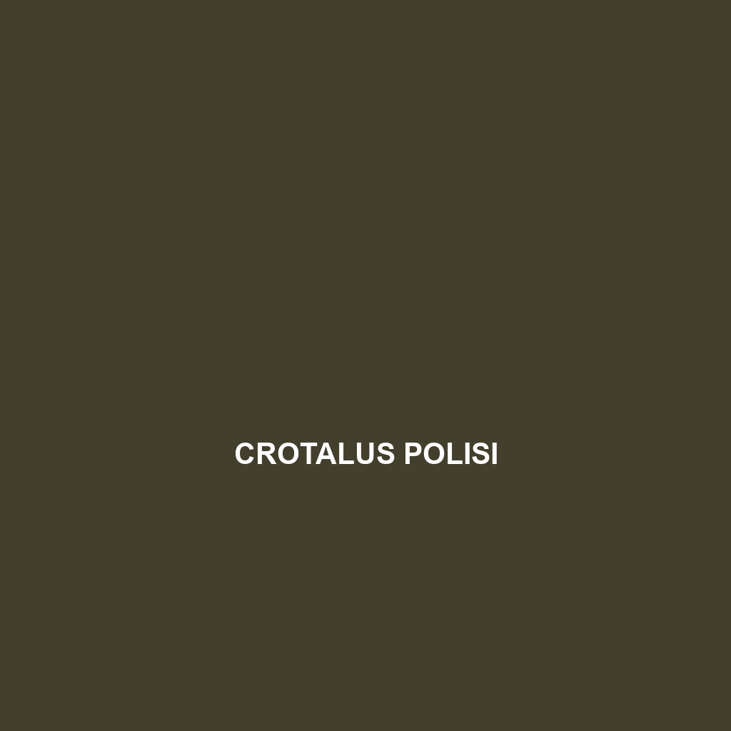 Crotalus polisi