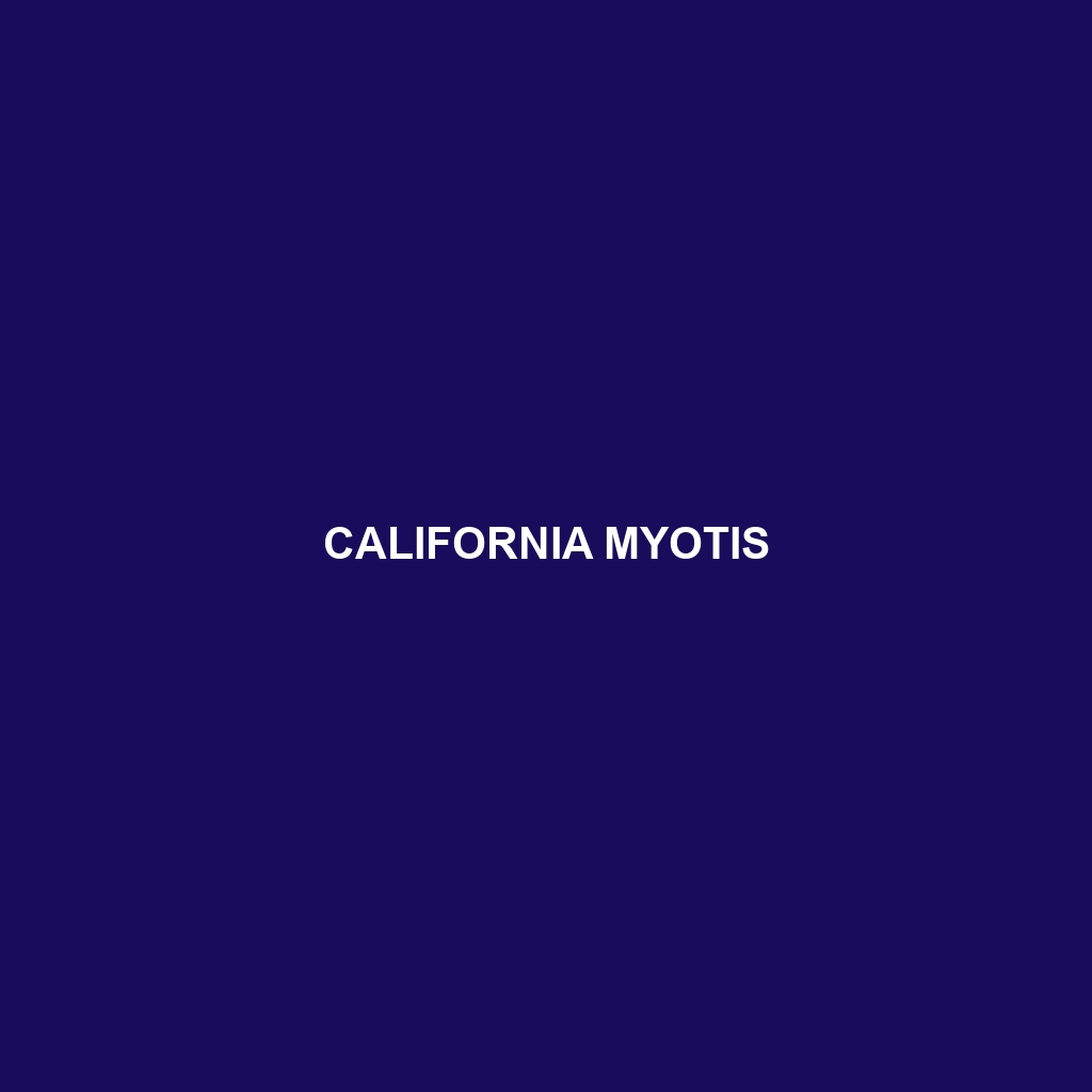 California Myotis