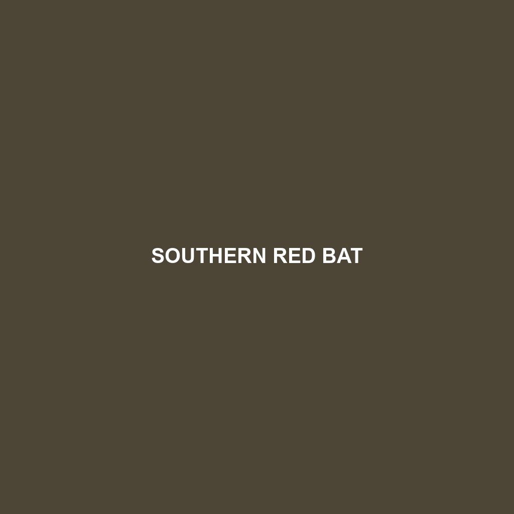 Southern Red Bat