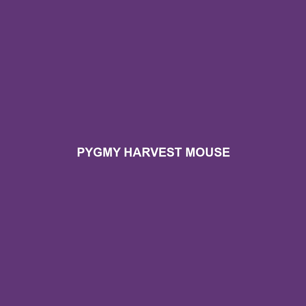 Pygmy Harvest Mouse