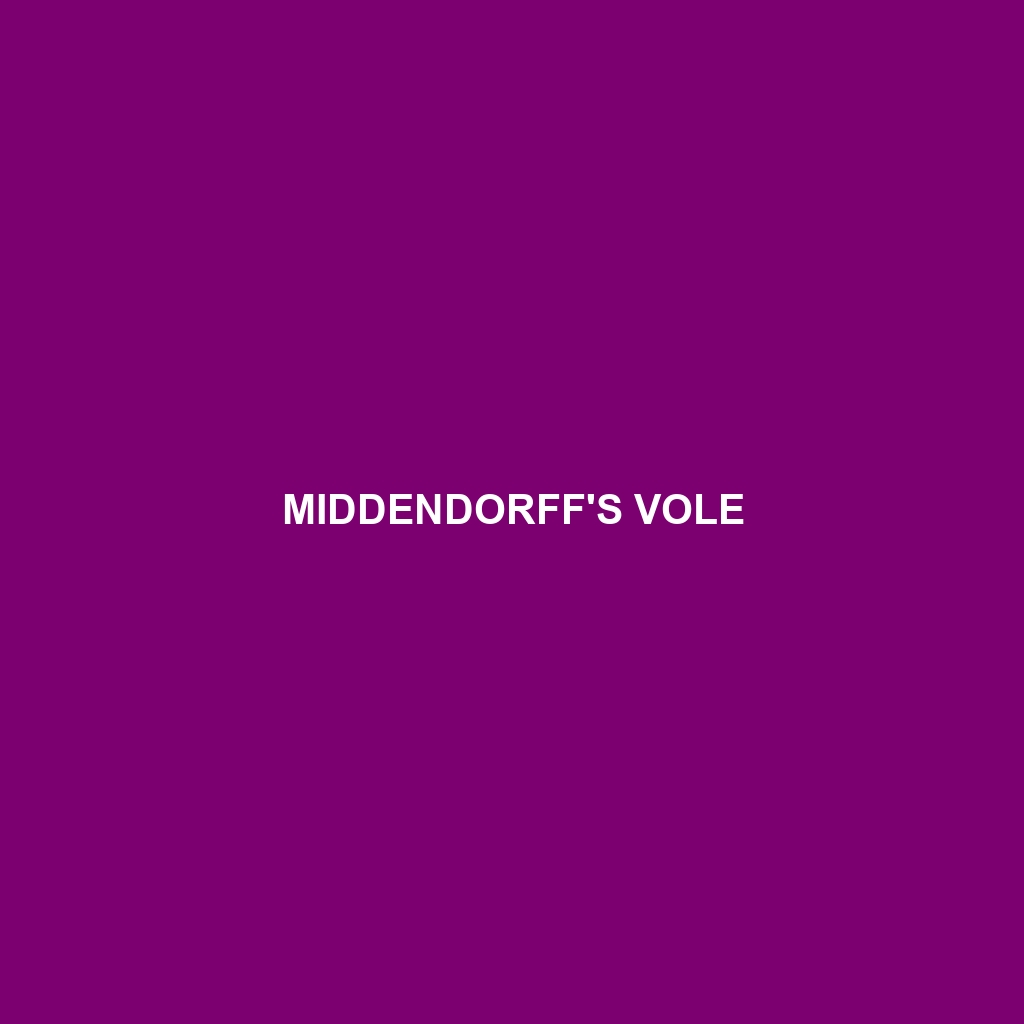 Middendorff's Vole