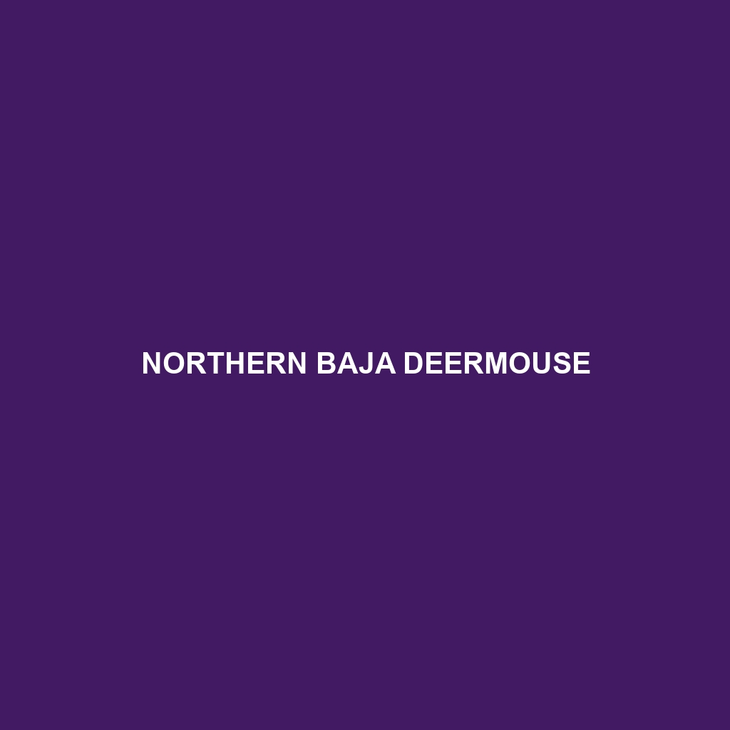 Northern Baja Deermouse