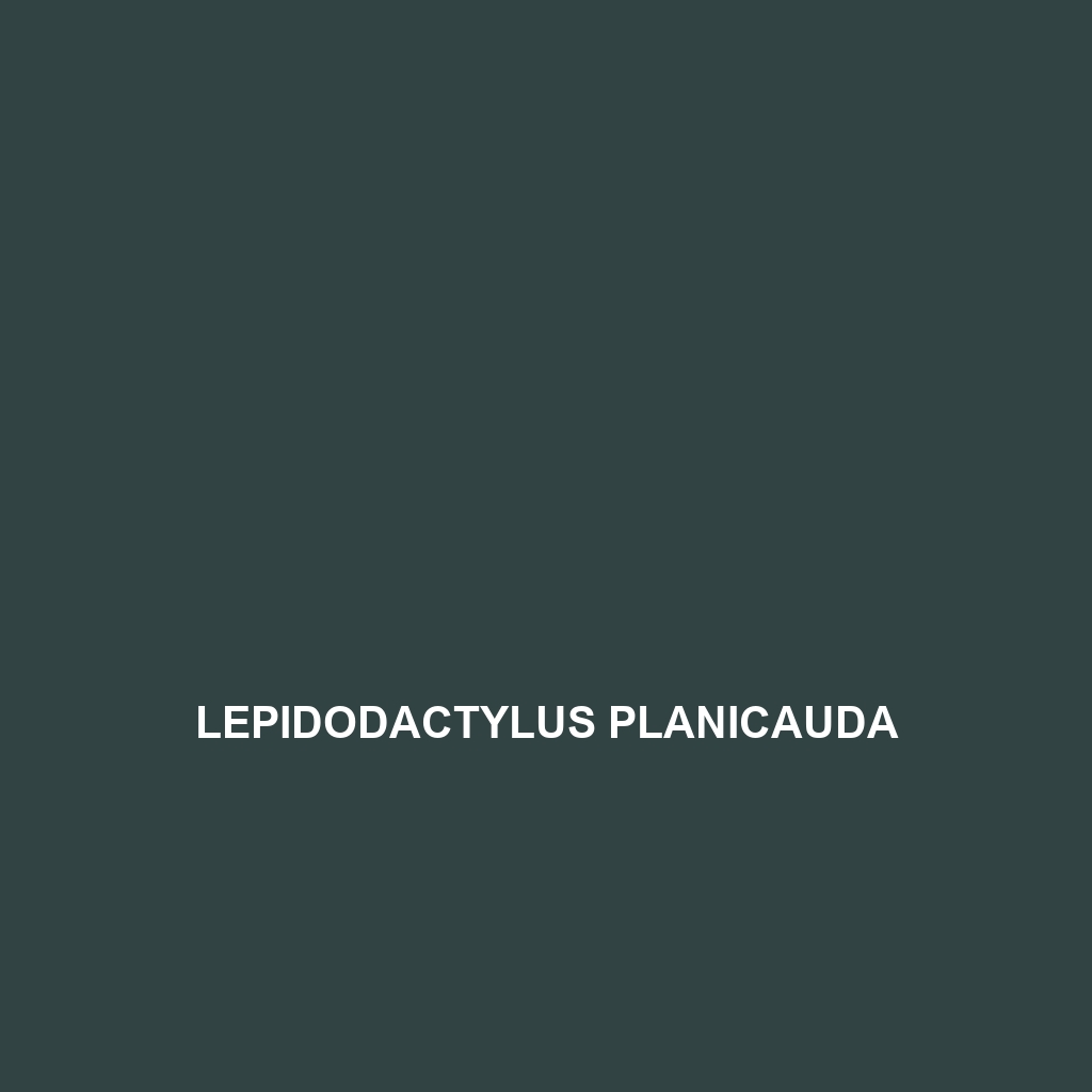 Lepidodactylus paurolepis