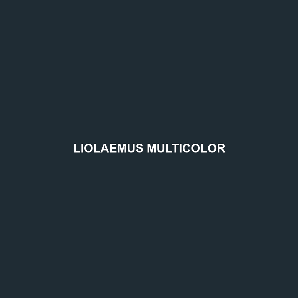 Liolaemus multicolor