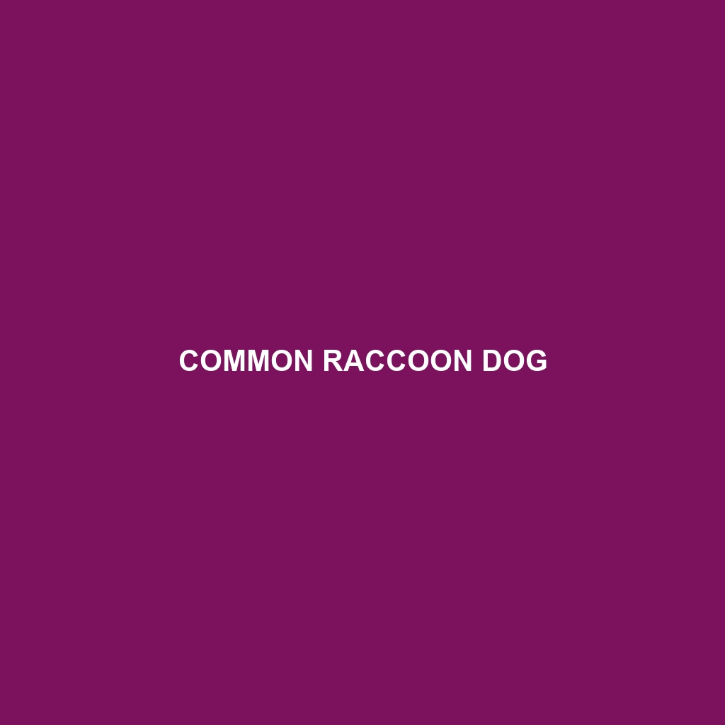 Common Raccoon Dog