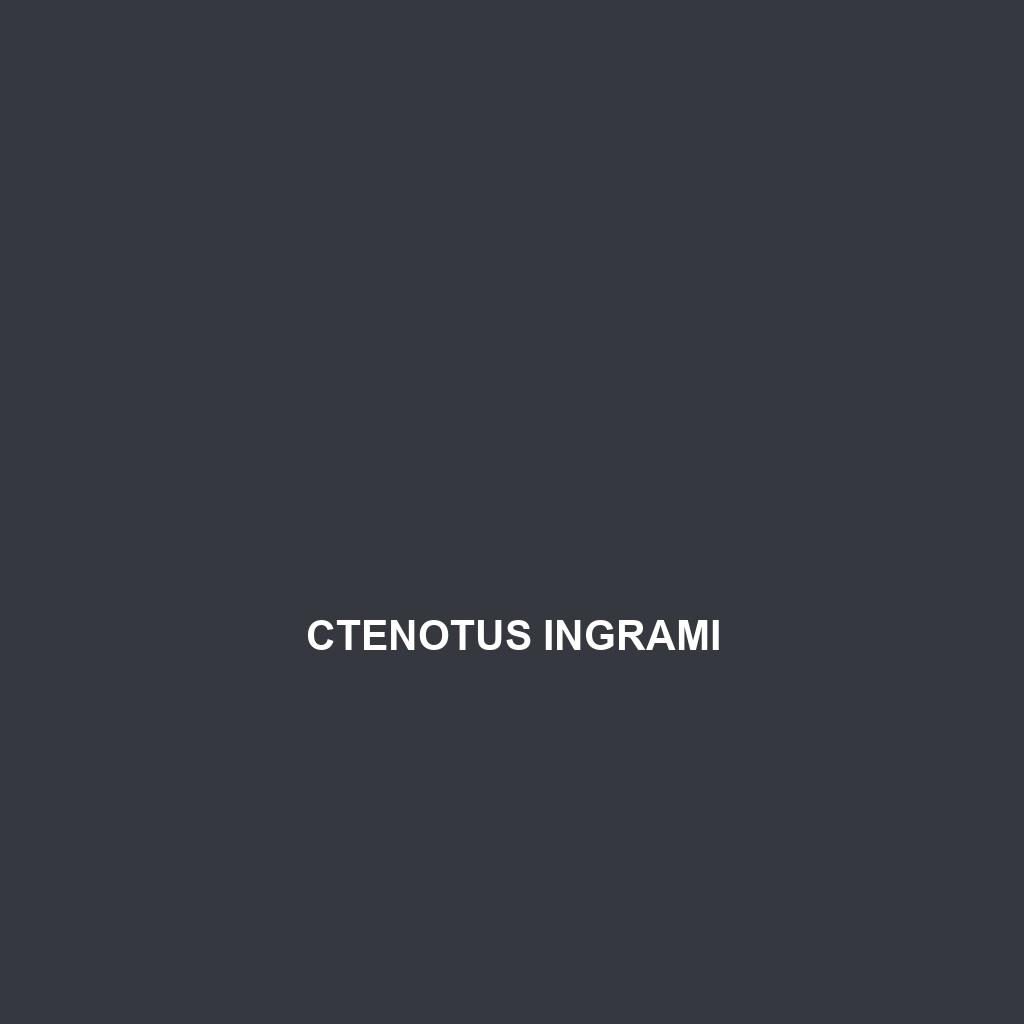 Ctenotus ingrami