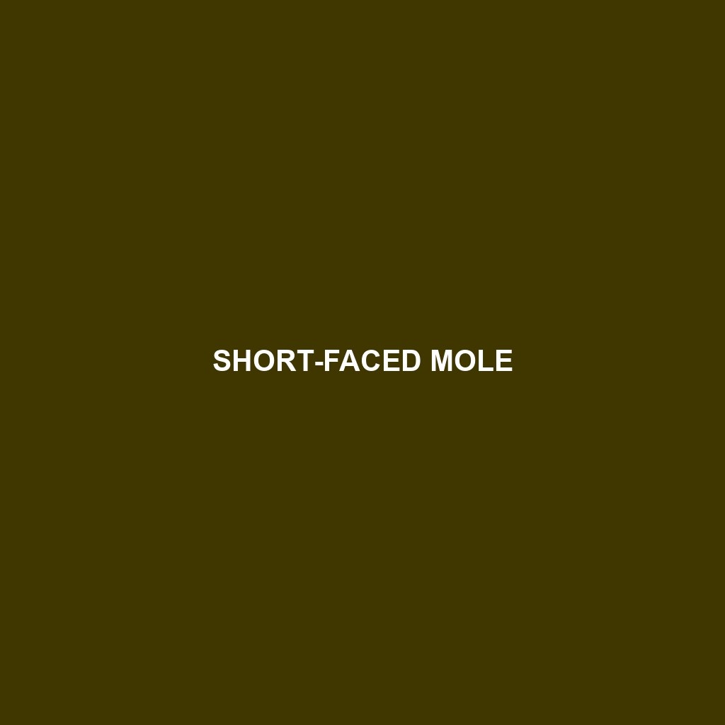 Short-faced Mole