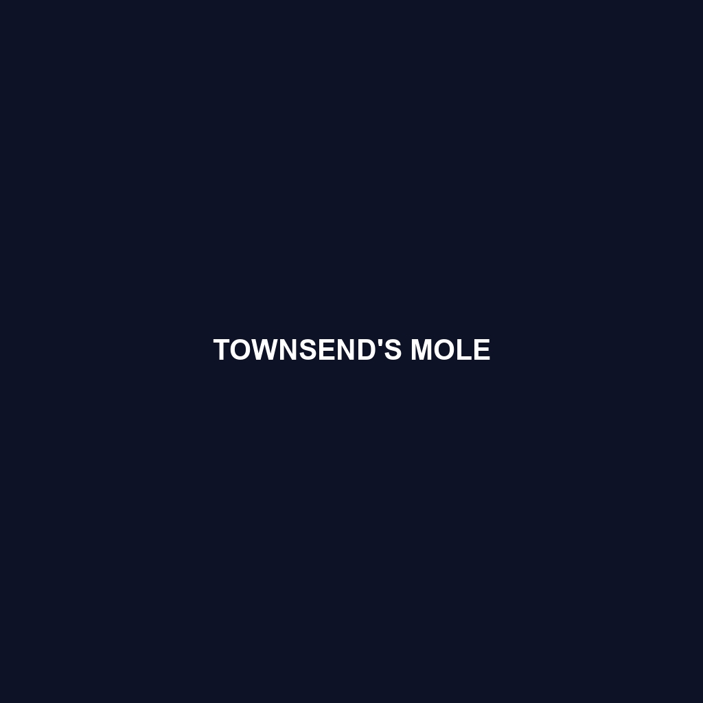 Townsend's Mole