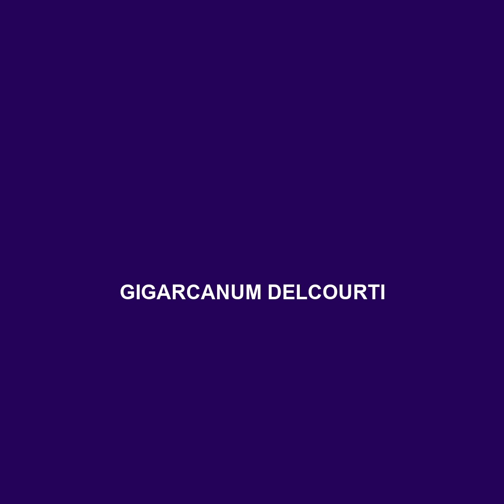 Gigarcanum delcourti