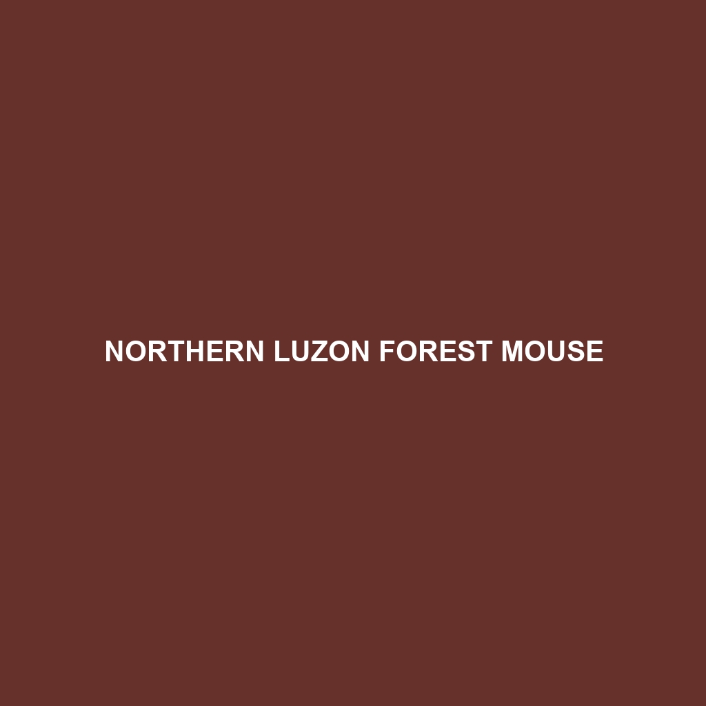 Northern Luzon Forest Mouse