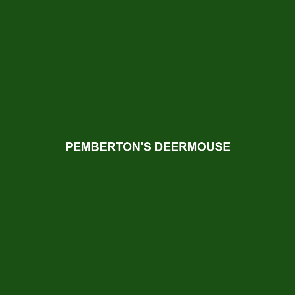 Pemberton's Deermouse