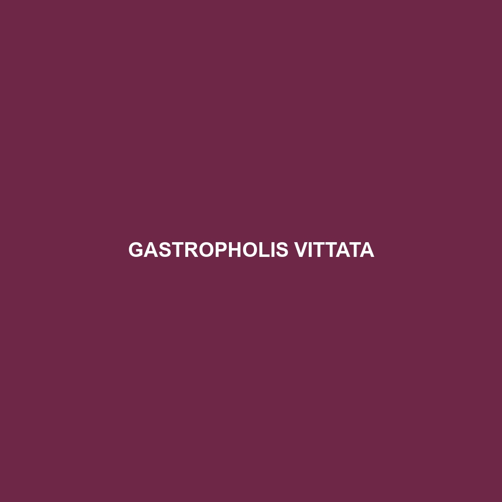 Gastropholis vittata