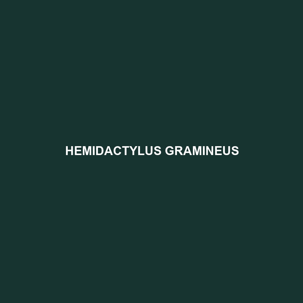 Hemidactylus gramineus