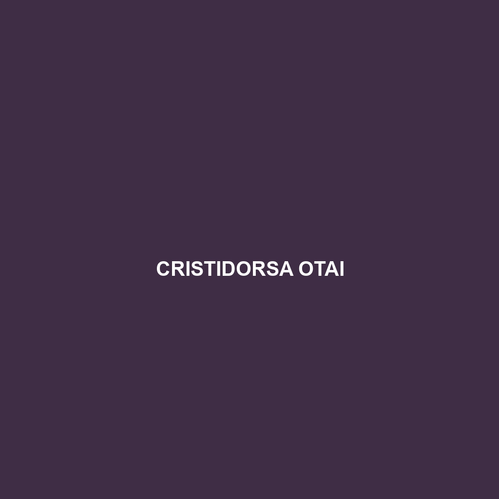 Cristidorsa otai