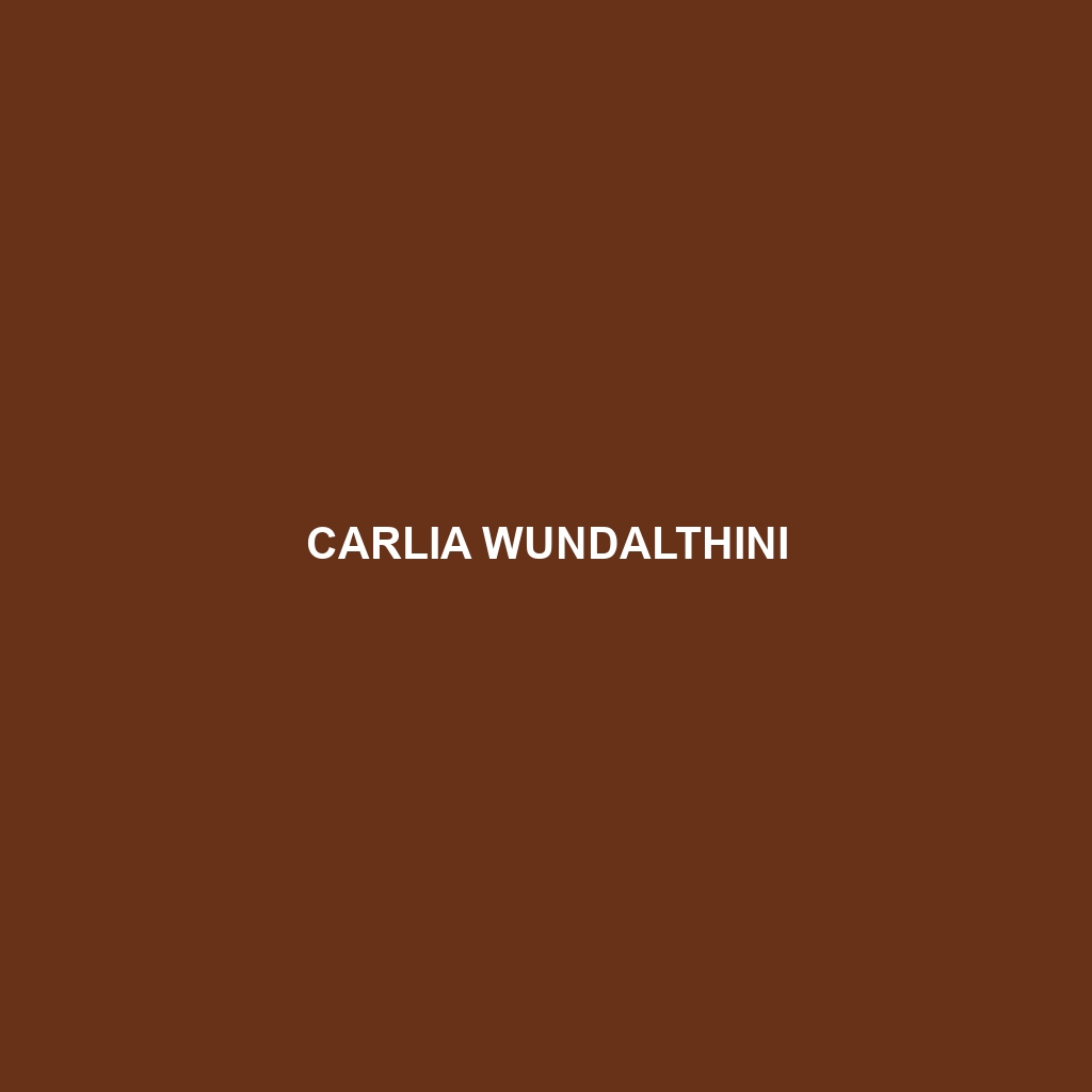 Carlia wundalthini