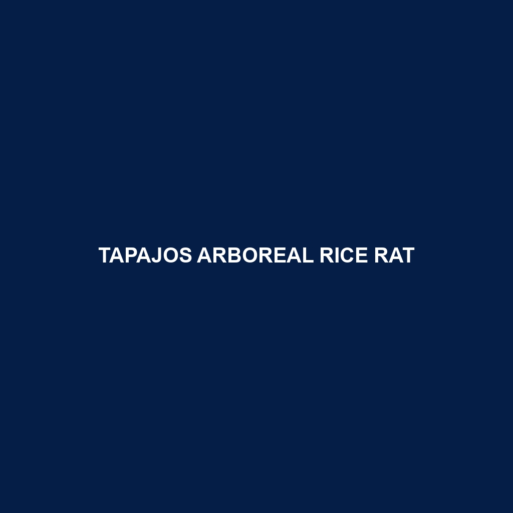 Tapajos Arboreal Rice Rat