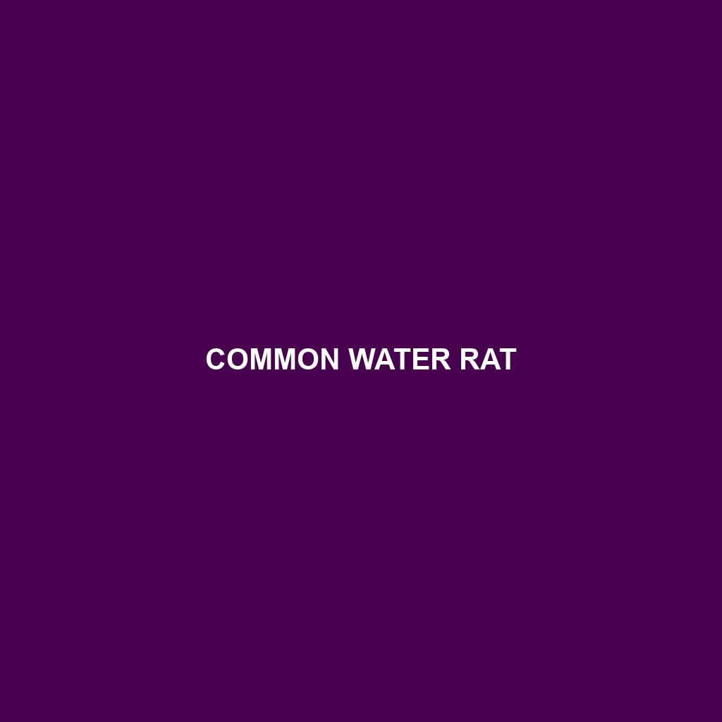 Common Water Rat