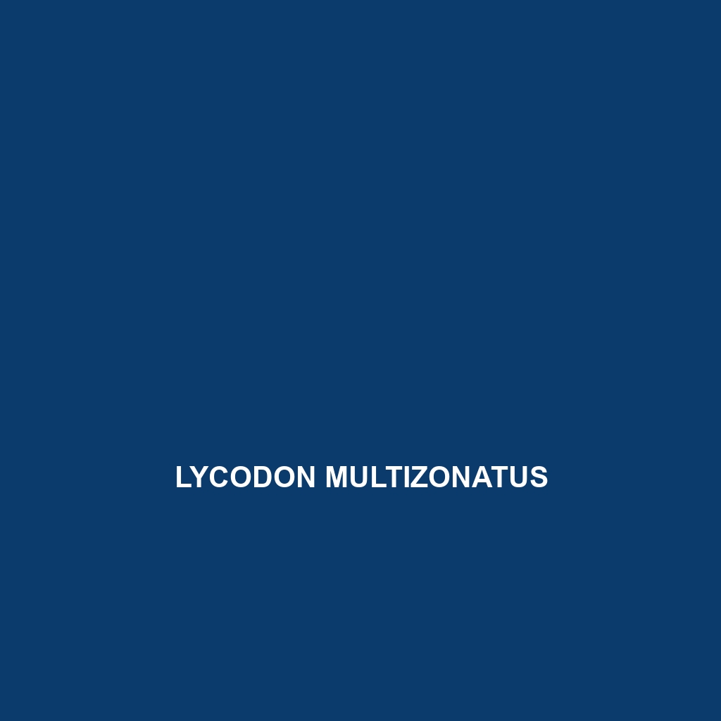 Lycodon multizonatus