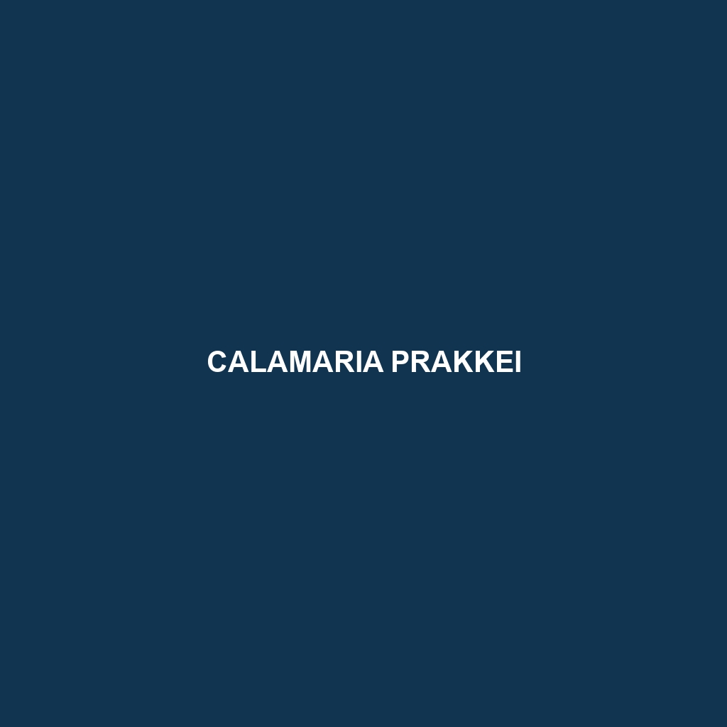 Calamaria prakkei