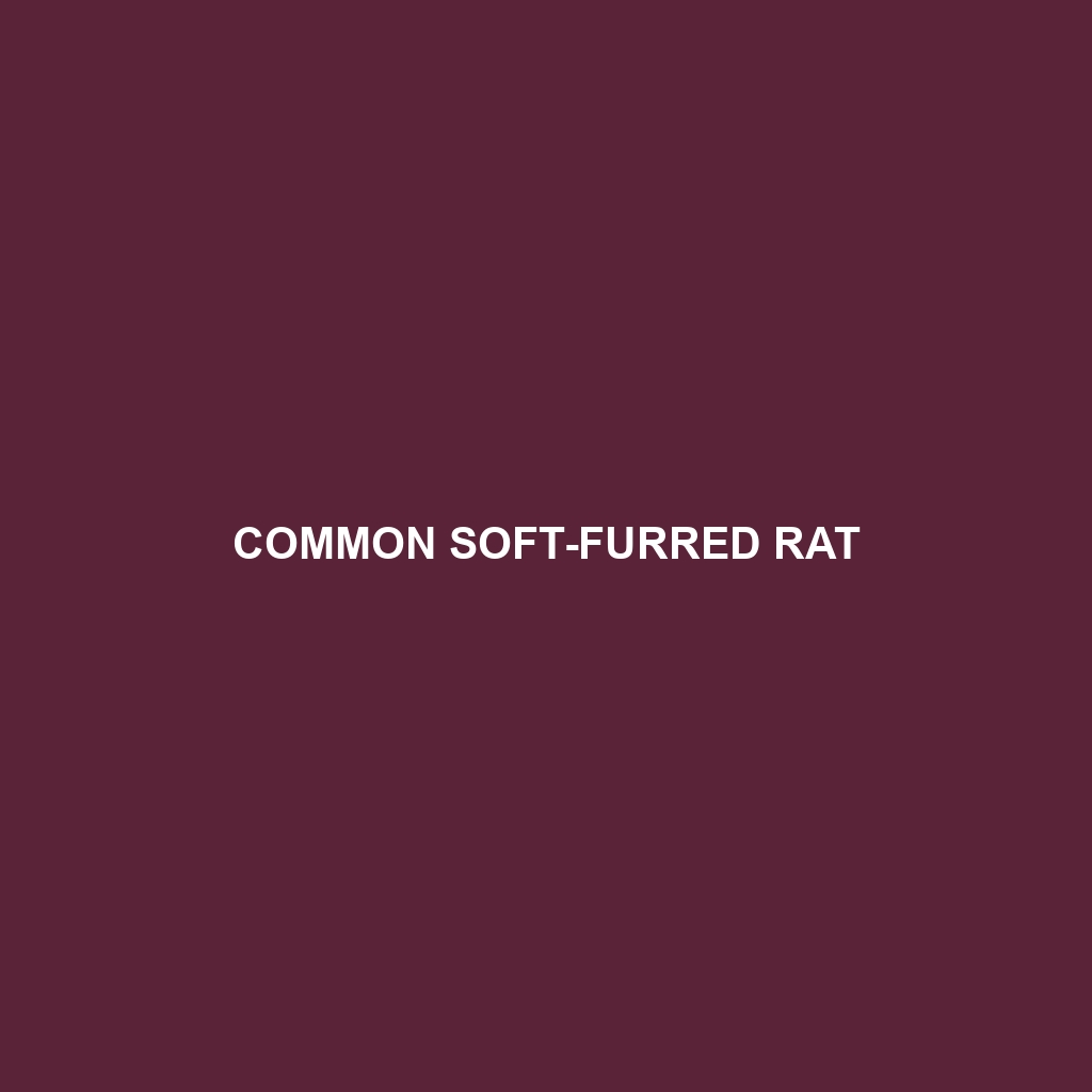 Common Soft-furred Rat