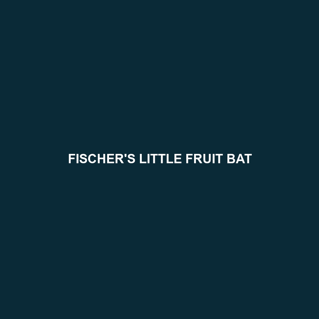 Fischer's Little Fruit Bat