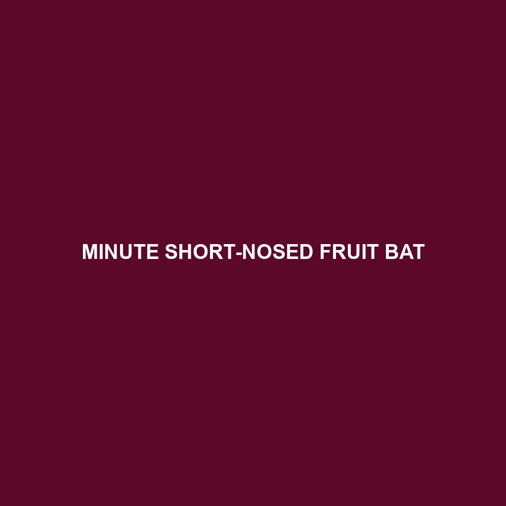 Minute Short-nosed Fruit Bat