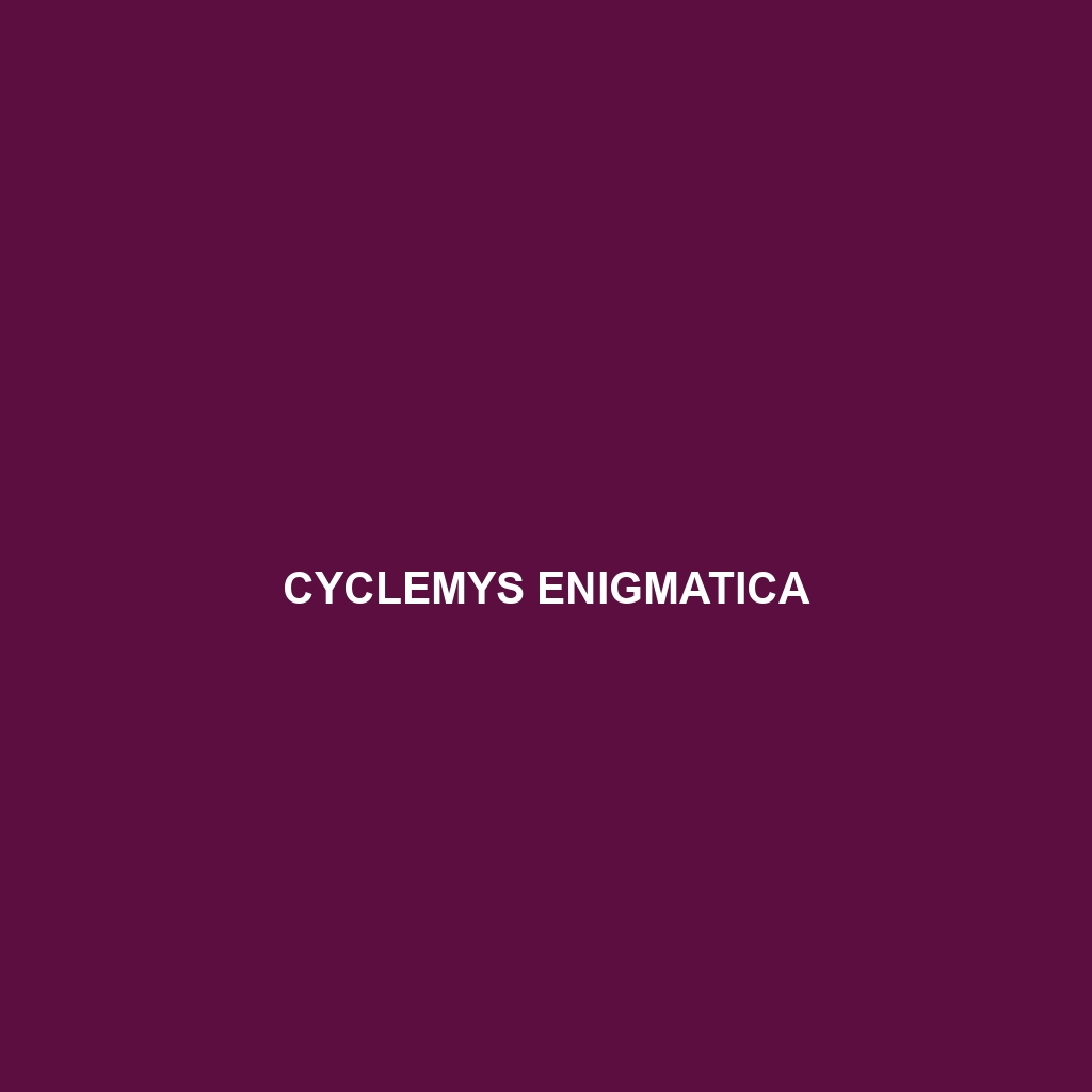 Cyclemys dentata