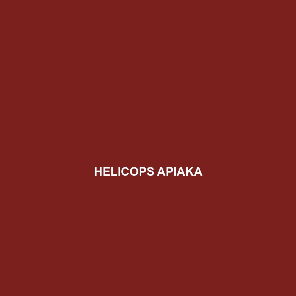 Helicops apiaka