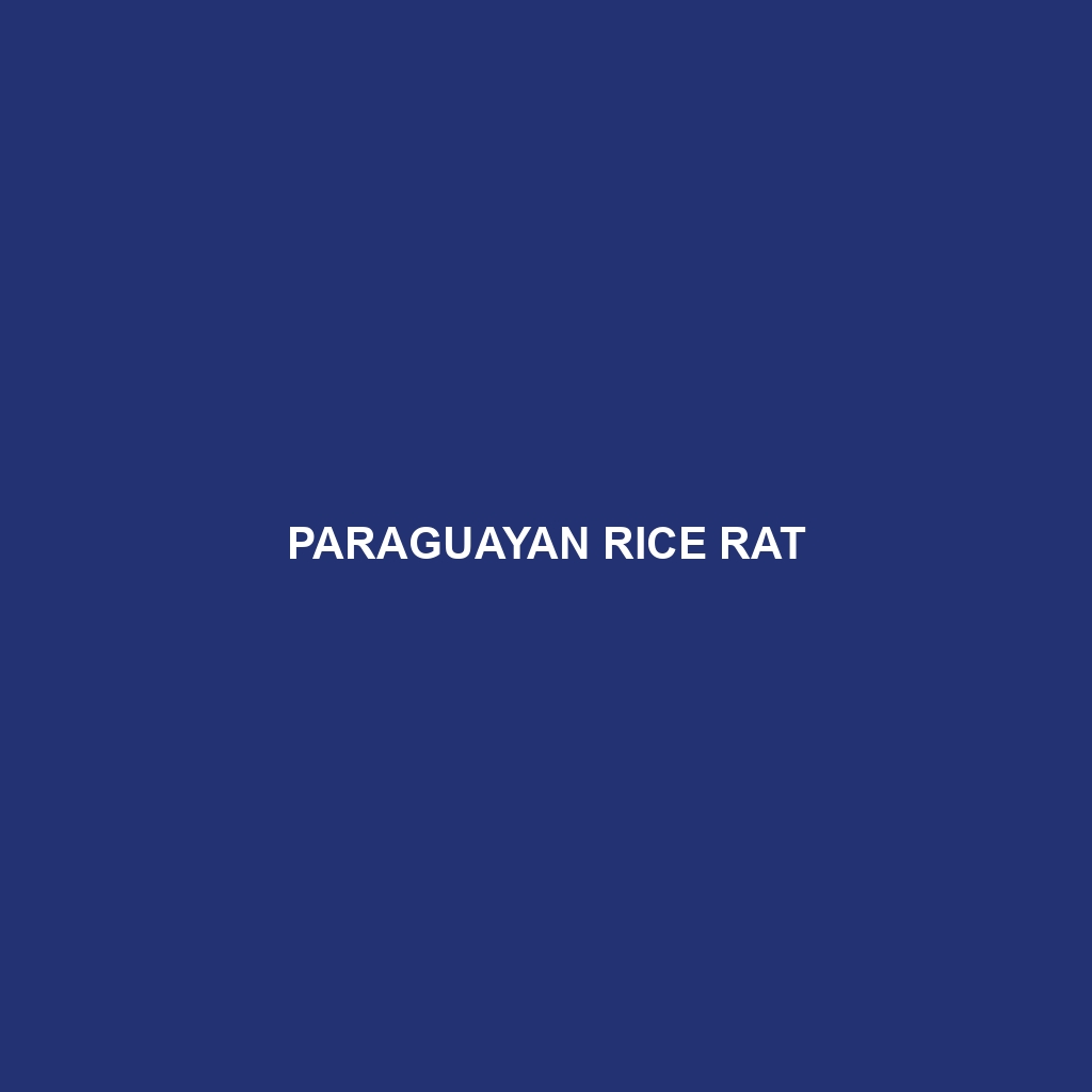 Paraguayan Rice Rat