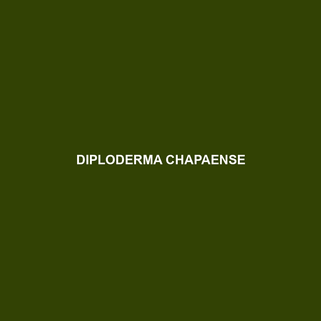 Diploderma chapaense