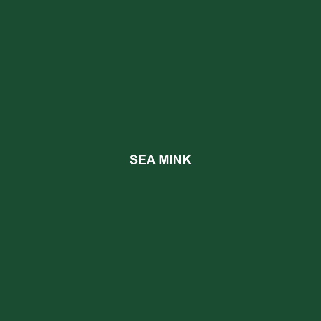 Sea Mink