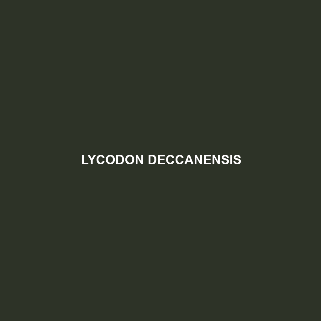 Lycodon deccanensis