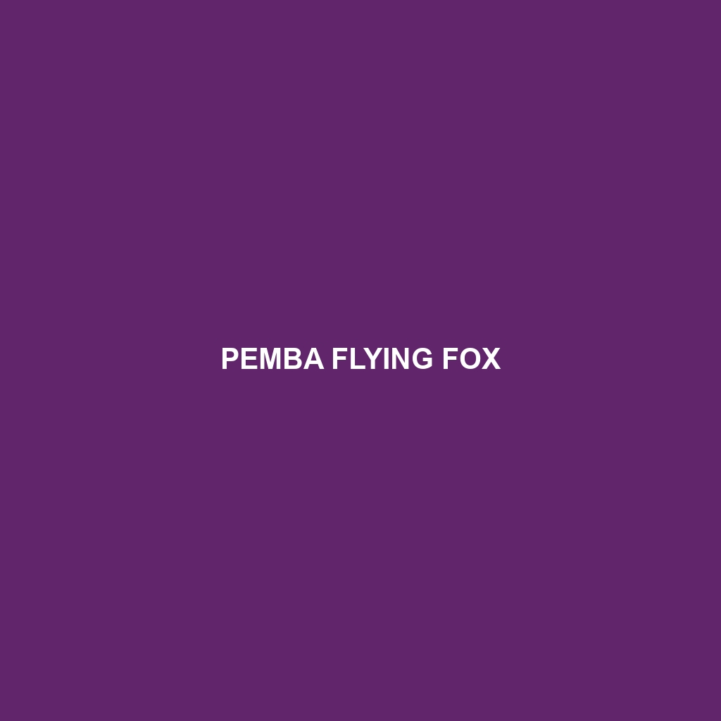 Pemba Flying Fox