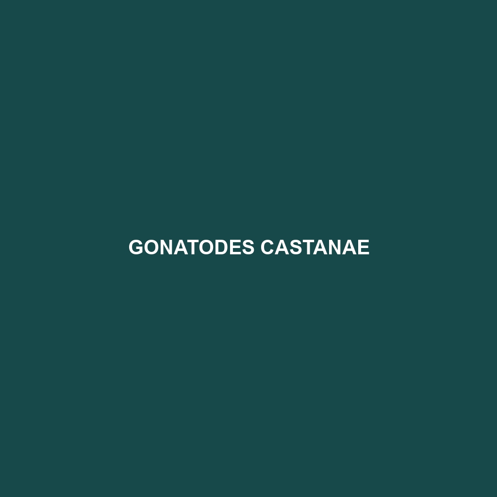 Gonatodes castanae