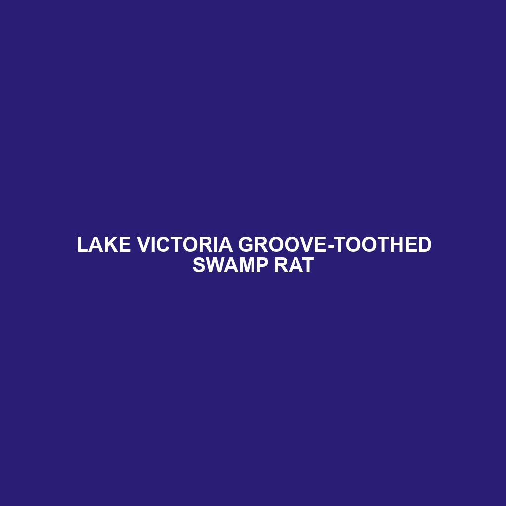 Lake Victoria Groove-toothed Swamp Rat