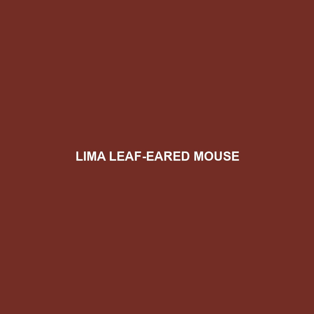 Lima Leaf-eared Mouse