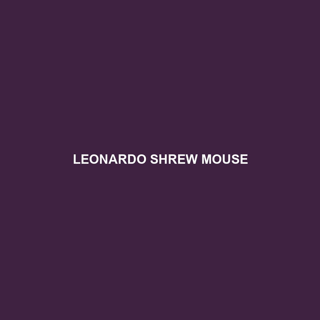 Leonardo Shrew Mouse