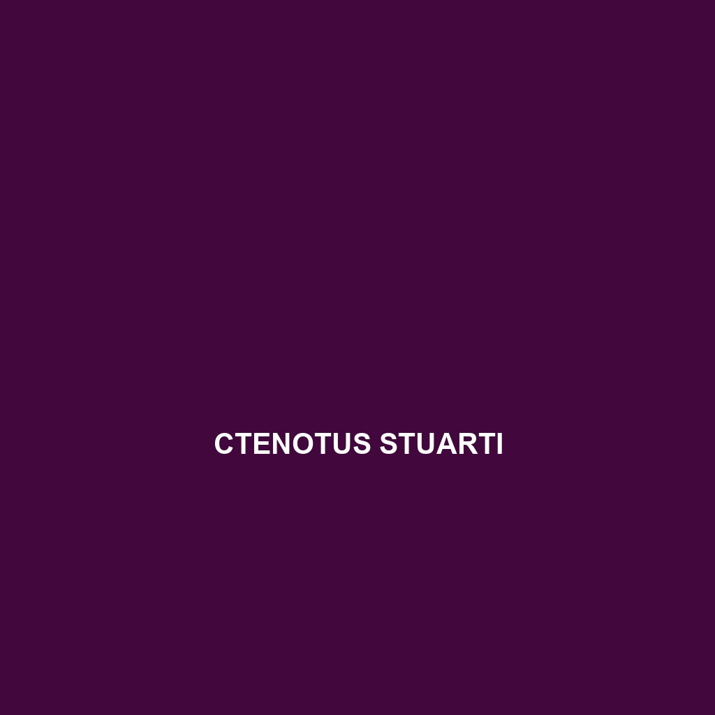 Ctenotus stuarti