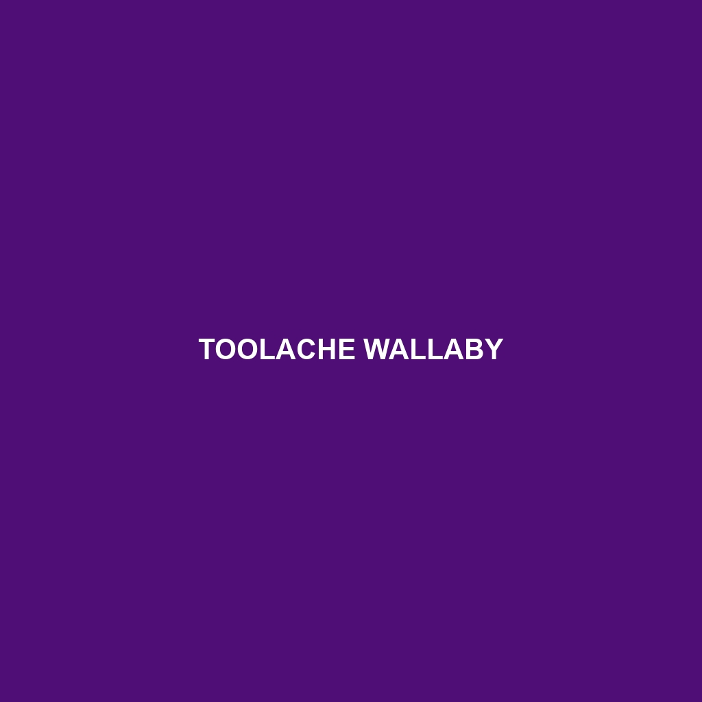 Toolache Wallaby