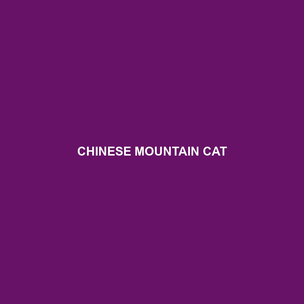 Chinese Mountain Cat