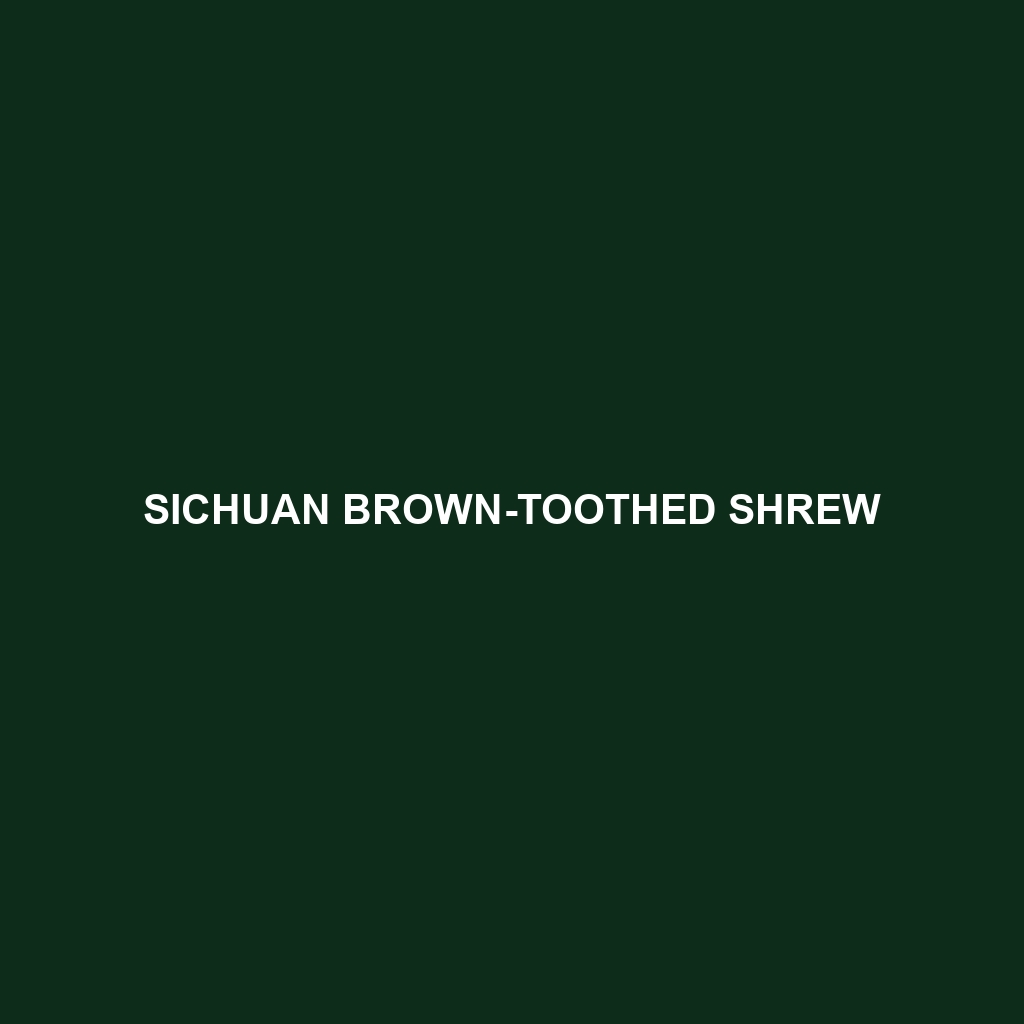 Sichuan Brown-toothed Shrew