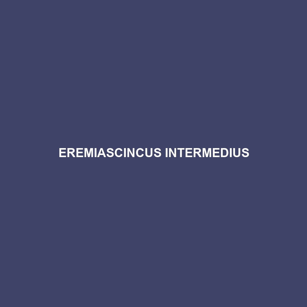 Eremiascincus intermedius