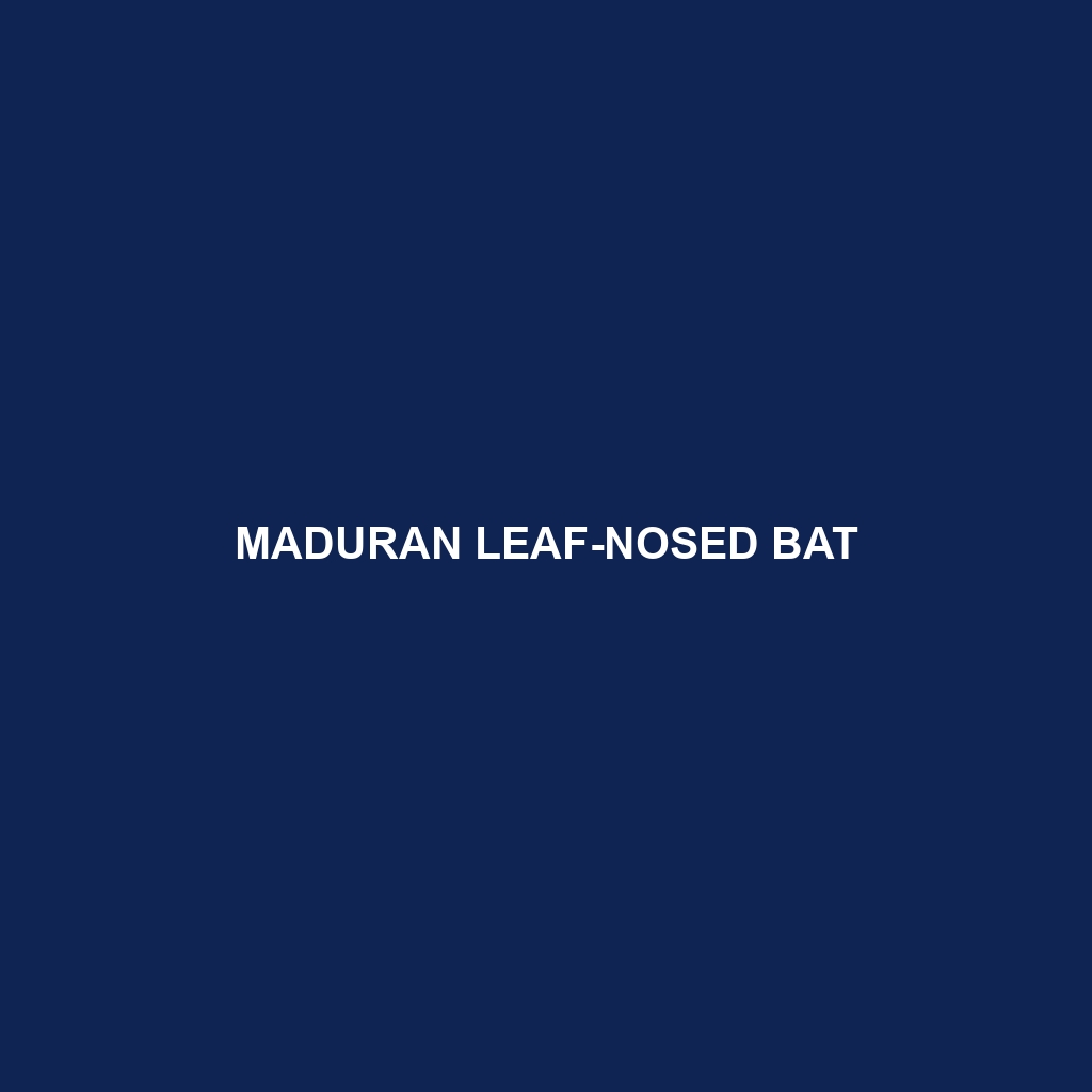 Maduran Leaf-nosed Bat