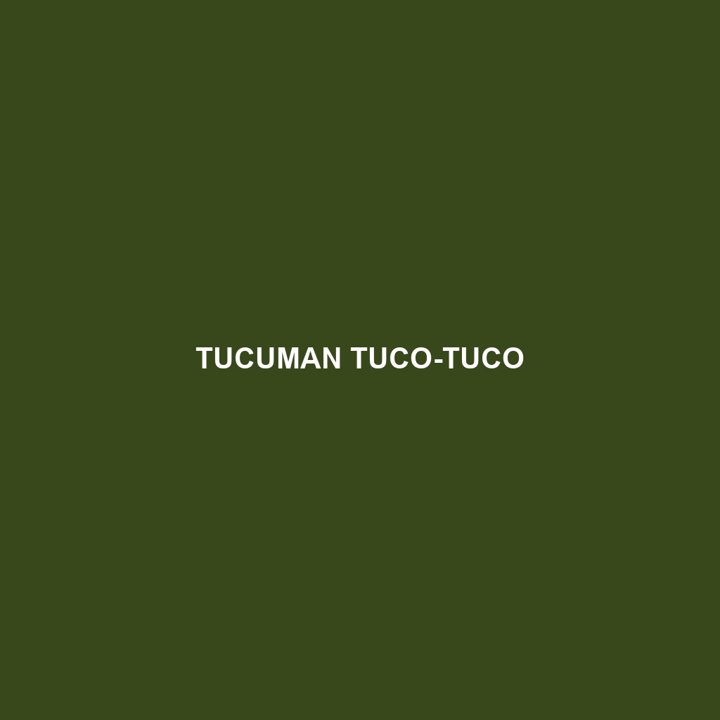 Tucuman Tuco-tuco