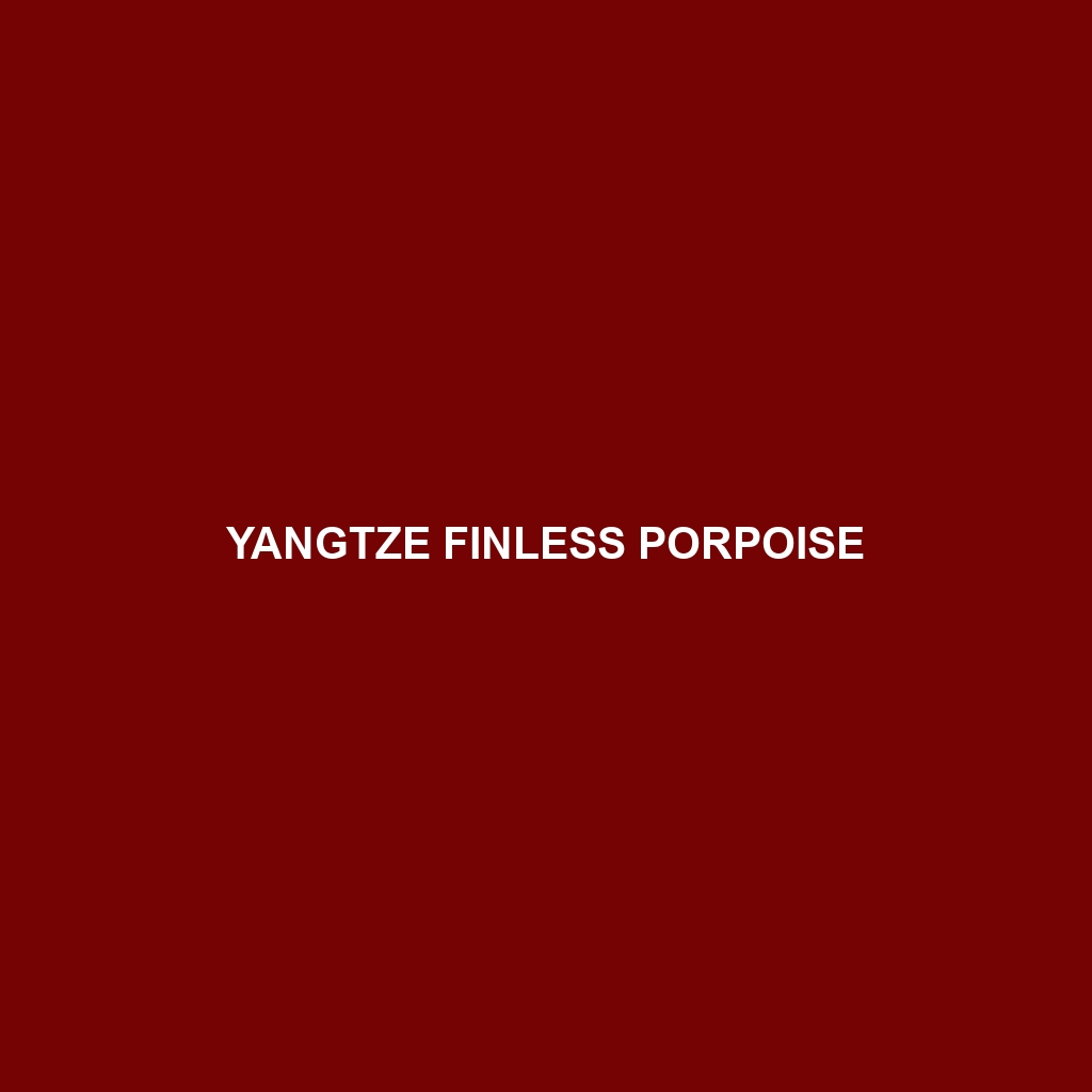 Yangtze Finless Porpoise