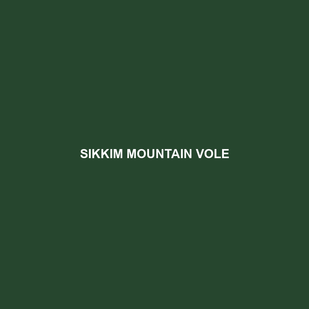 Sikkim Mountain Vole